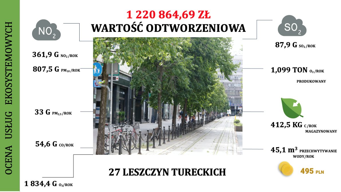 Wizualizacja usług ekosystemowych drzew przy ul. 27 Grudnia
