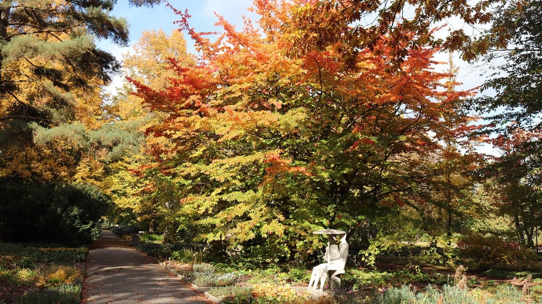 Ogród Botaniczny UAM