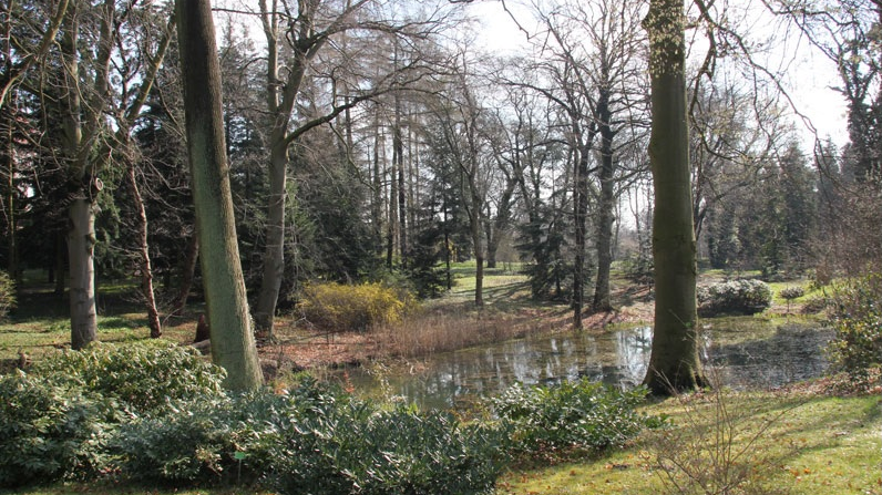 Ogród Dendrologiczny Uniwersytetu Przyrodniczego