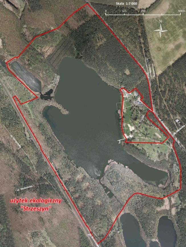 Położenie użytku ekologicznego "Strzeszyn", Zał. nr 1 do uchwały Nr XLII/652/VI/2012 RMP z dn. 18 grudnia 2012 r., oprac.: ZGiKM GEOPOZ - grafika artykułu