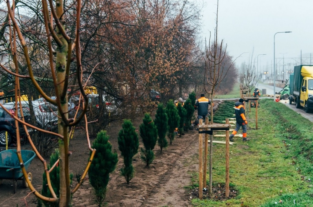 Powstawanie parku osłonowego na Naramowicach, fot. Miasto Poznań - grafika artykułu