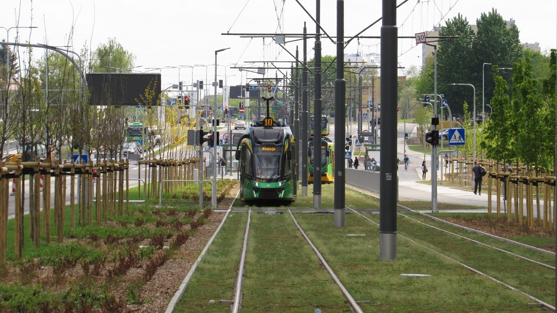 Fot. ZTM Poznań - grafika artykułu