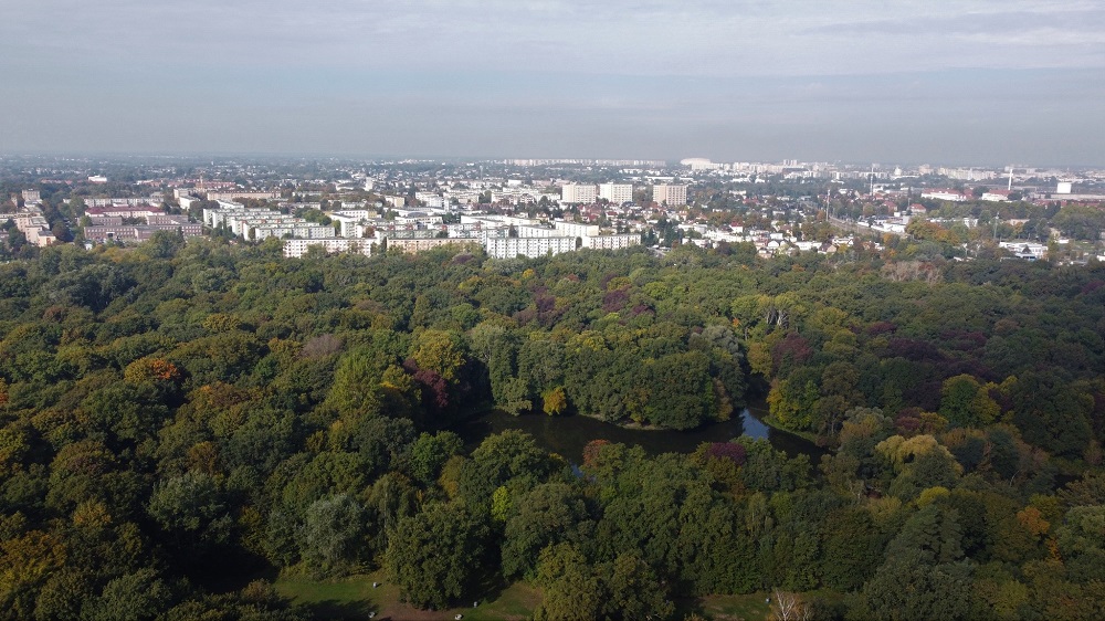 Fot. Zakład Lasów Poznańskich - grafika artykułu