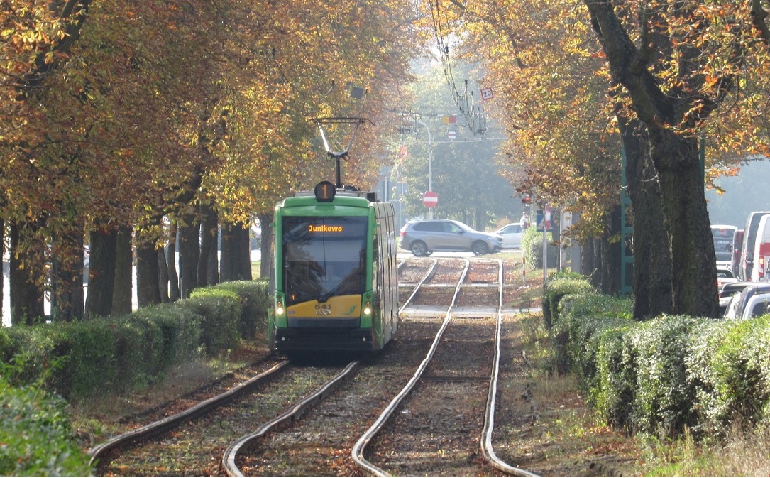 Fot. ZTM Poznań - grafika artykułu