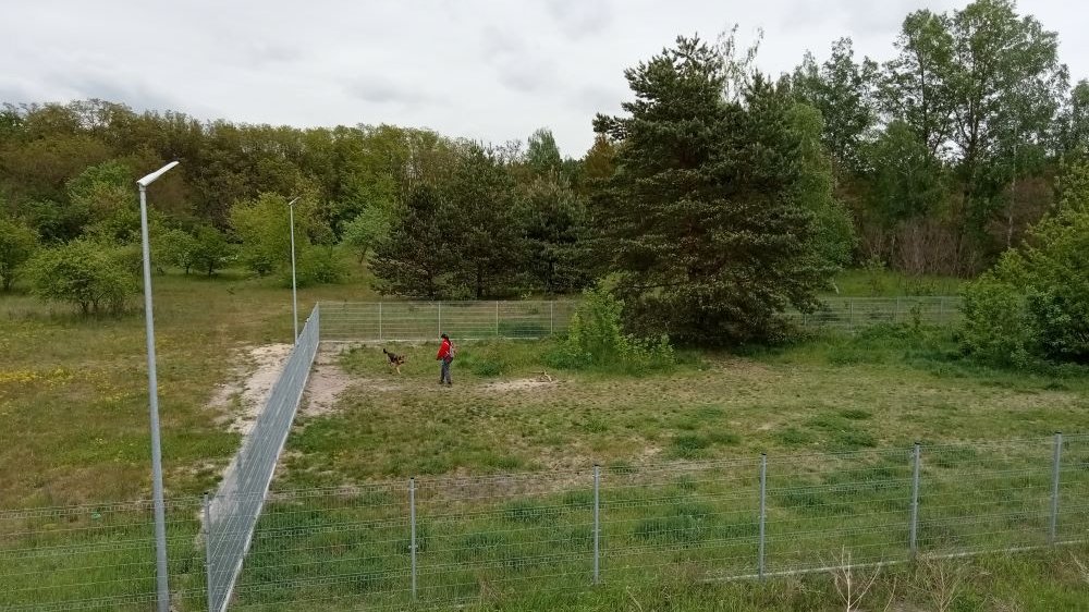 Schronisko dla zwierząt w Poznaniu, fot. biuletyn.poznan.pl