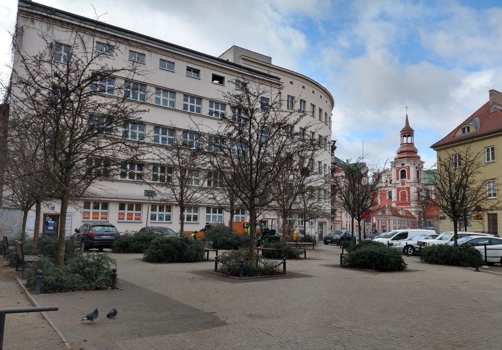 skwer pokryty kostką brukową, kilka niewielkich drzew, niskich krzewód i ławek, za skwerem kilkupiętrowy gmach z jasną fasadą, za nim widać wieżą kościelną - grafika artykułu