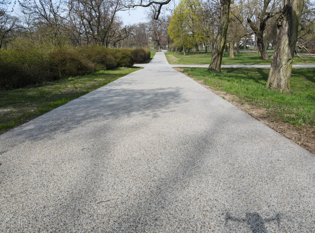 alejka parkowa, po obu jej stronach trawnij, krzewy i drzewa - grafika artykułu