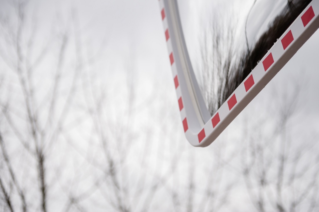 fragment lustra drogowego na tele szarego nieba i drzew bez liści - grafika artykułu