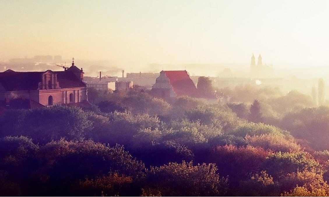 Fragment panoramy Poznania, na pierwszym planie teren zielony porośnięty drzewami, za nimi budynki przesłonięte gęstym smogiem - grafika artykułu