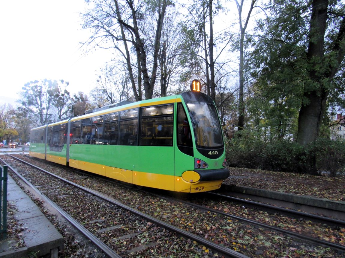 Tramwaj jadący po torach, z jednej strony torowiska kilka drzew, torowisko częściowo przysypane opadłymi liśćmi - grafika artykułu