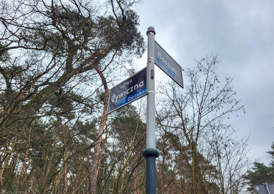 Słubek z tablicami nazw ulic Żywiczna i Borówki, tablice są ułożone względem siebie prostopadle, za słupem widoczne korony drzew - grafika artykułu