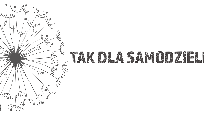 Logo Fundacji Tak Dla Samodzielności - wizerunek dmuchawca
