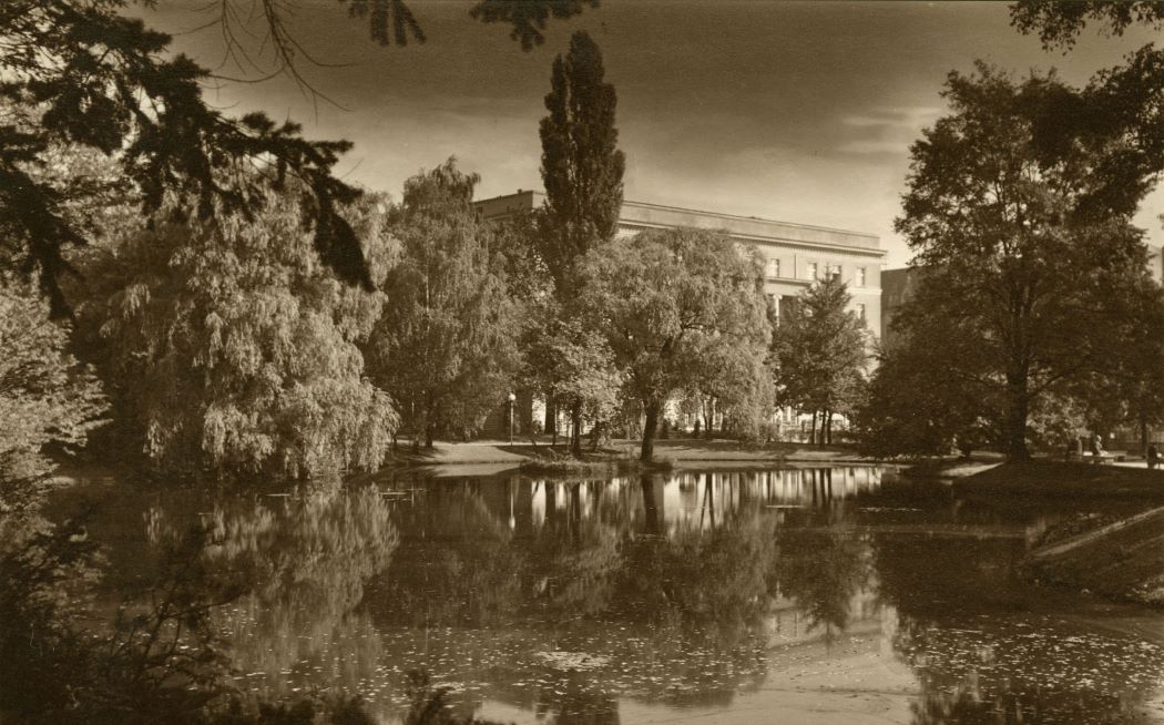 Park ze zbiornikiem wodnym otoczuny zielenią, wysokimi drzewami - grafika artykułu