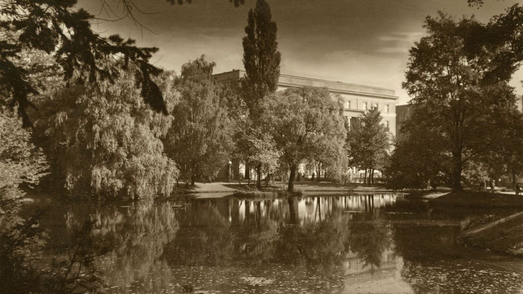 Park ze zbiornikiem wodnym otoczuny zielenią, wysokimi drzewami