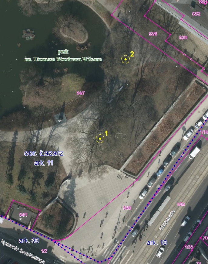 zdjęcie lotnicze przedstawiające fragment parku, na zdjęciu zaznaczono drzewa pomniki przyrody - grafika artykułu