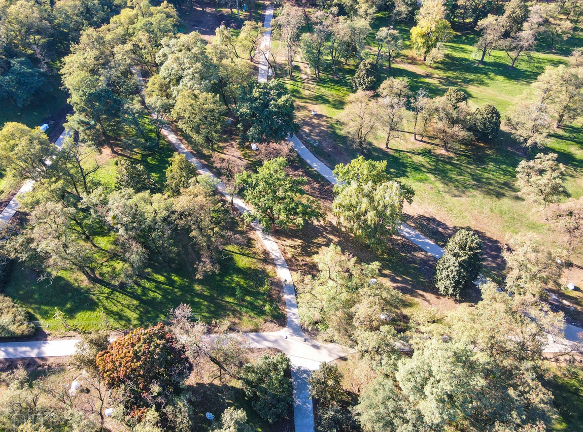 widok z lotu ptaka na park, widoczne drzewa, trawniki i ścieżki spacerowe - grafika artykułu