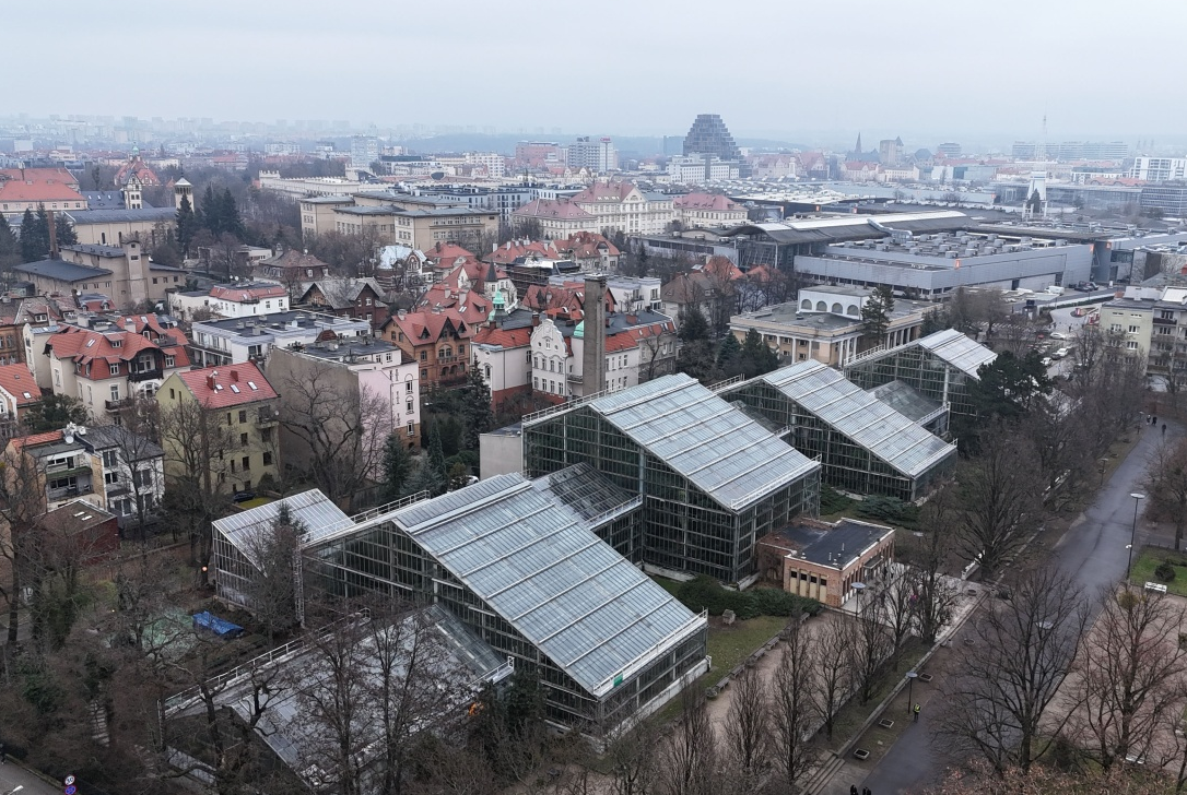 fragment panoramy miasta, widoczna zabudowa śródmiejska, kamienice oraz przeszklone pawilony, na dalszym planie wyższe biurowce - grafika artykułu
