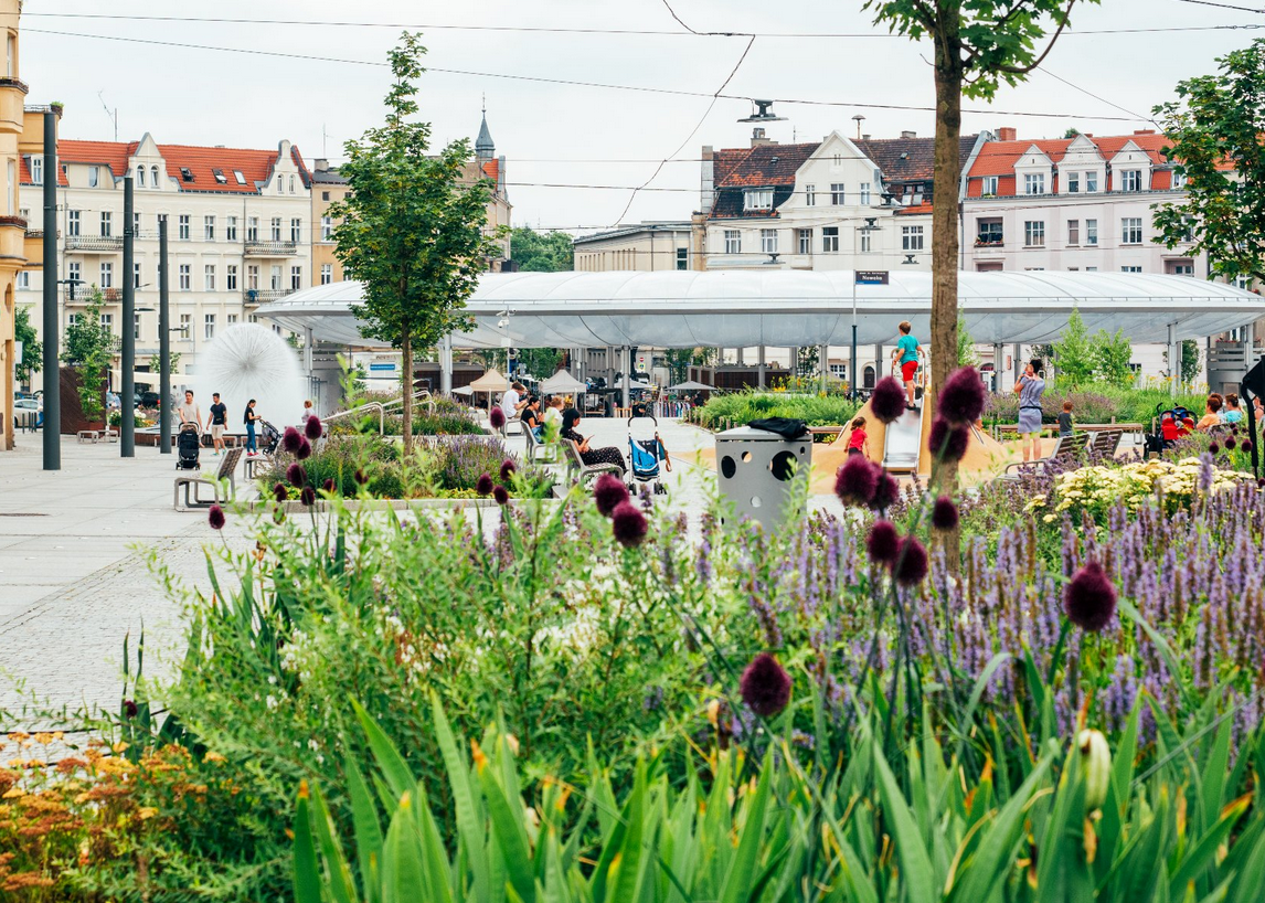 tarowisko na ryneczku, na piewszym plane przesłania je niska roślinność - grafika artykułu