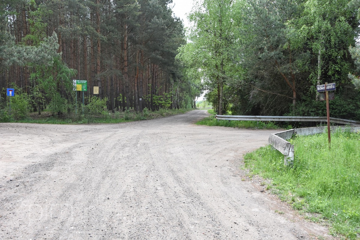 skrzyżowanie nieutwardzonych dróg, otoczenie leśne, widoczna tabliczka z nazwą ulicu Nadwarciańska - grafika artykułu