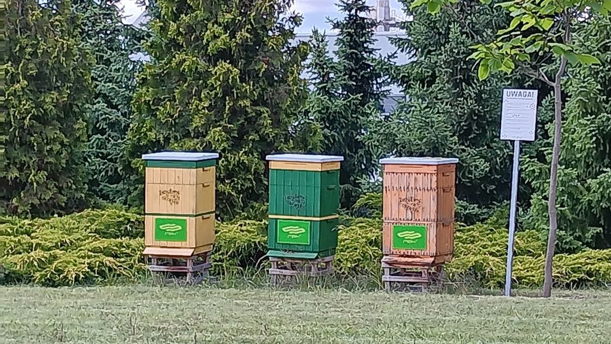 Na terenie zajezdni MPK na Franowie znajdują się także ule pszczele