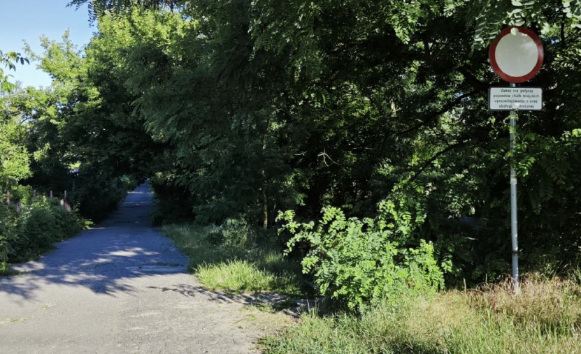 wąska droga otoczona drzewa i krzewami, z boku znak zakazu wjazdu - grafika artykułu