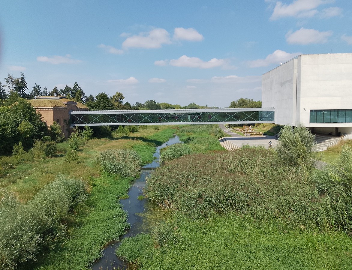 widok z mostu na rzekę mocno zarośniętą roślinnością - grafika artykułu