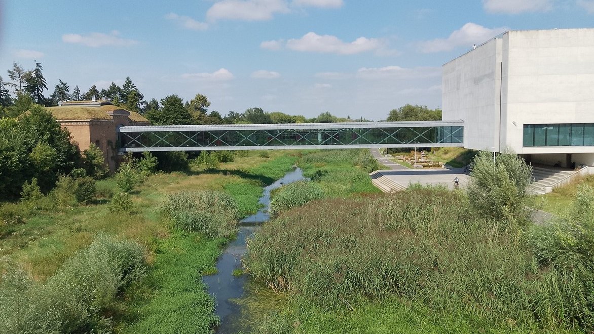 widok z mostu na rzekę mocno zarośniętą roślinnością