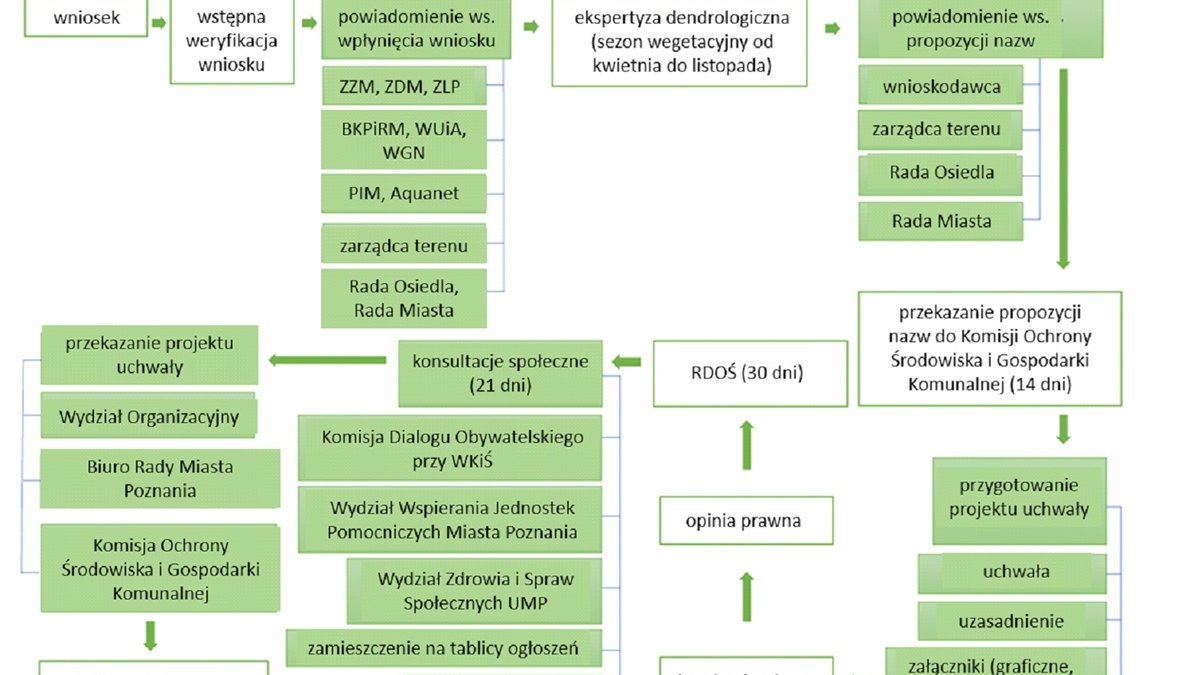 schemat procedury ustanawiania pomników przyrody w Poznaniu - załącznik nr do odpowiedzi na interpelację