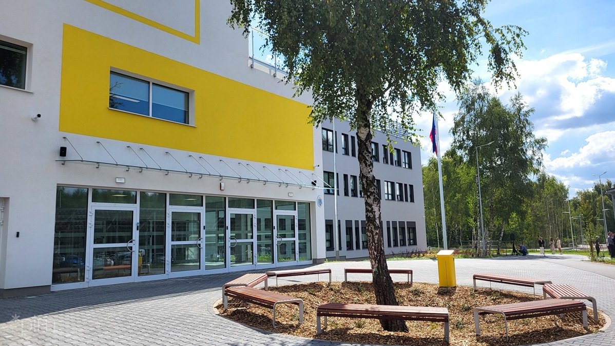 teren przed szkoła, drzewo, wokół niego ławki