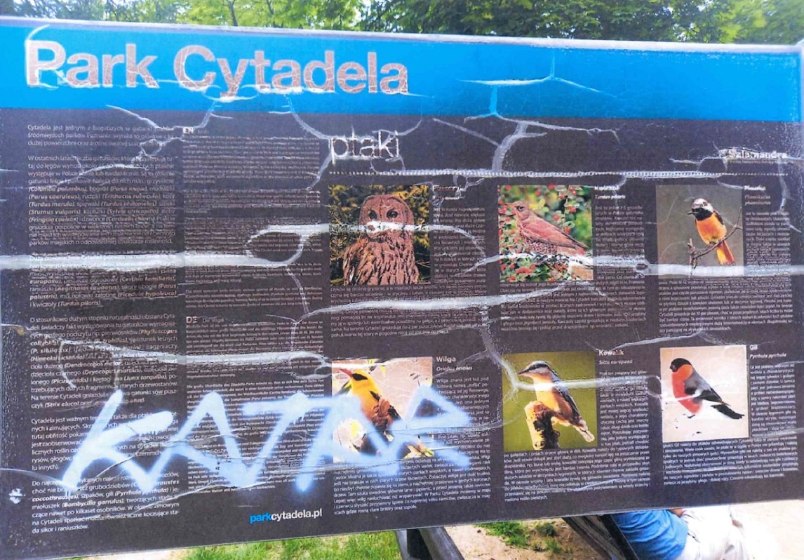 zniszczona tablica informacyjna w parku - grafika artykułu