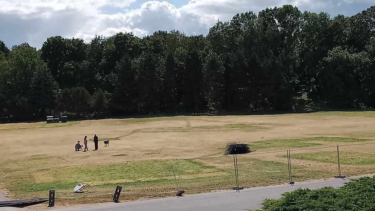 Teren BitterSweet Festival na Cytadeli tydzień po zakończeniu imprezy widać polanę i duże fragmenty wydeptanej trawy