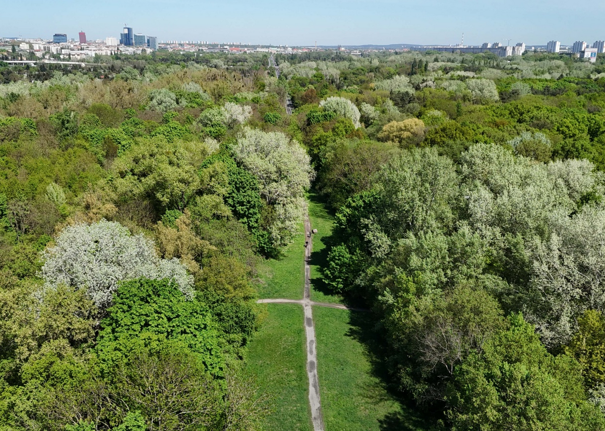 zdjęcie panoramiczne z lotu ptaka przedstawiający obszar gęsto zarośnięty drzewami, z małym wąskim terenem niezarośniętym. poza lasem widoczna zabudowa wielkomiejska - grafika artykułu