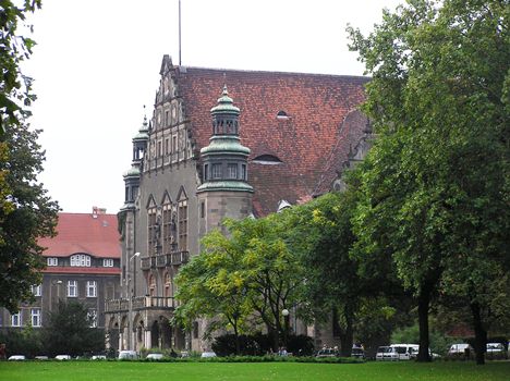 Uniwersytet im. Adama Mickiewicza - grafika artykułu