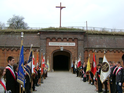 Fot. M. Malinowski - grafika artykułu