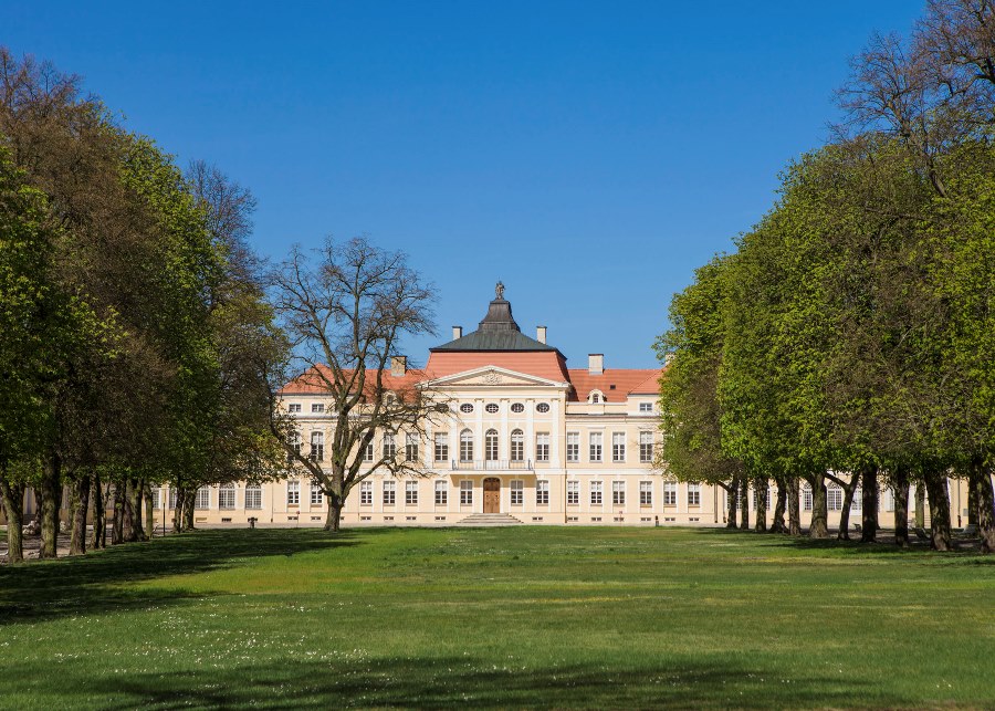 fot. Muzeum Narodowe w Poznaniu - grafika artykułu