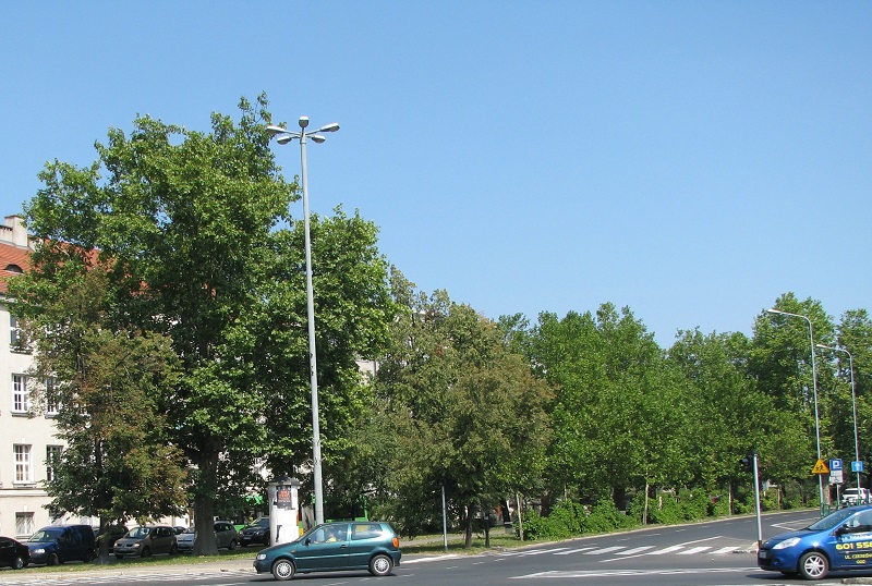 Fot. M. Malinowski - grafika artykułu