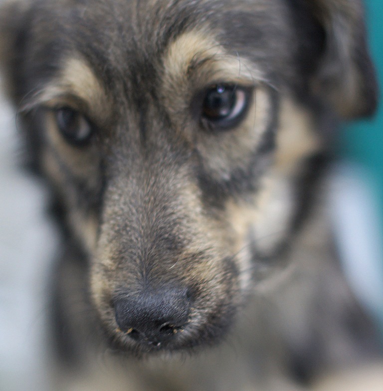 fot. A. Skowrońska - grafika artykułu