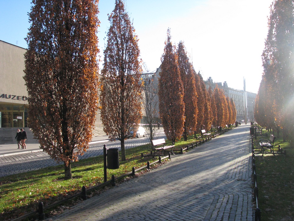 Fot. M. Malinowski - grafika artykułu