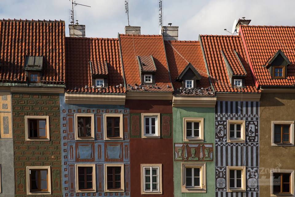 Fot. M. Malinowski - grafika artykułu