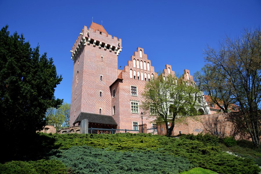 fot. Piotr Namiota - grafika artykułu