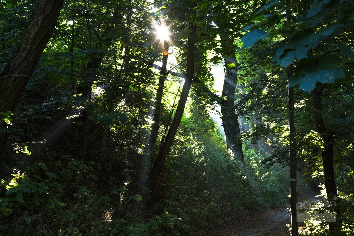 fot. Poznan Film Commision - grafika artykułu