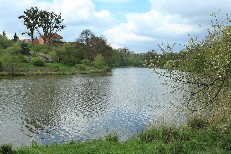 Fot. Z. Szmidt - grafika artykułu