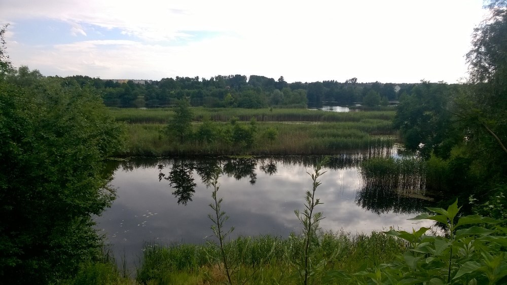 fot. Jan Gładysiak - grafika artykułu