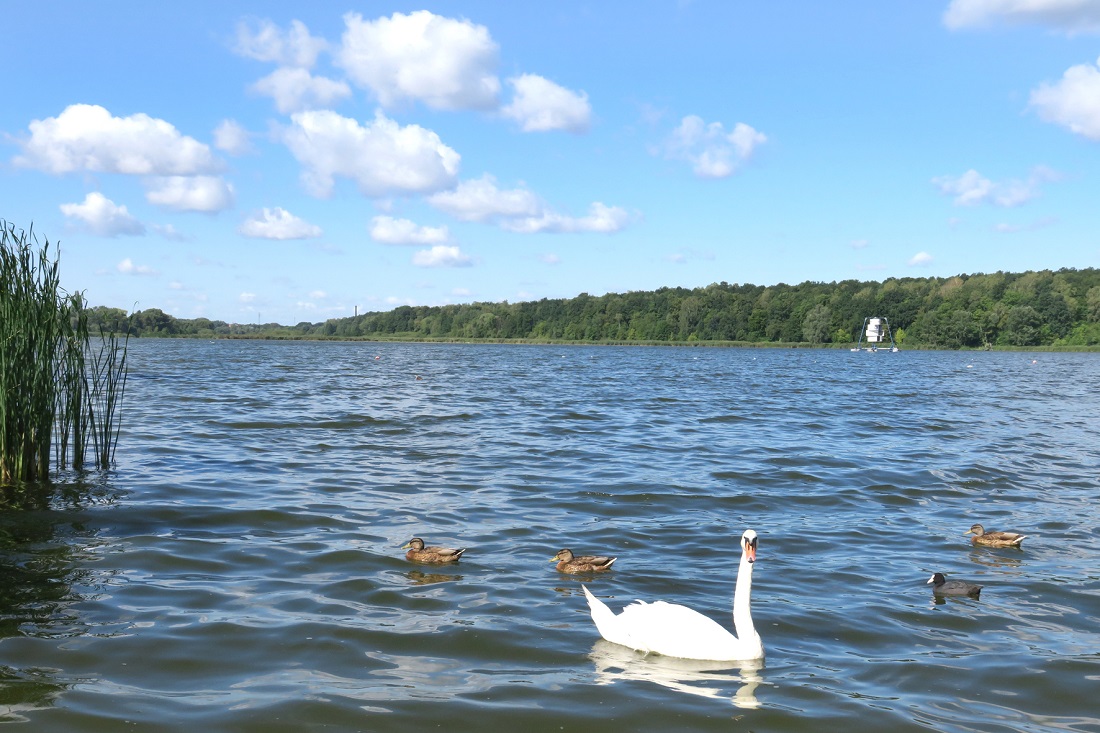 Fot. Z. Szmidt - grafika artykułu