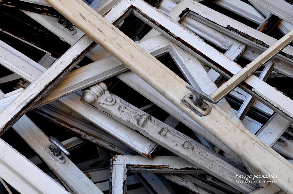 Fot. Maciej Krajewski / Łazęga poznańska - grafika artykułu