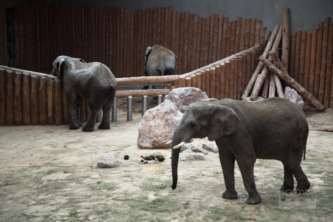 fot. Poznan Film Commission - grafika artykułu