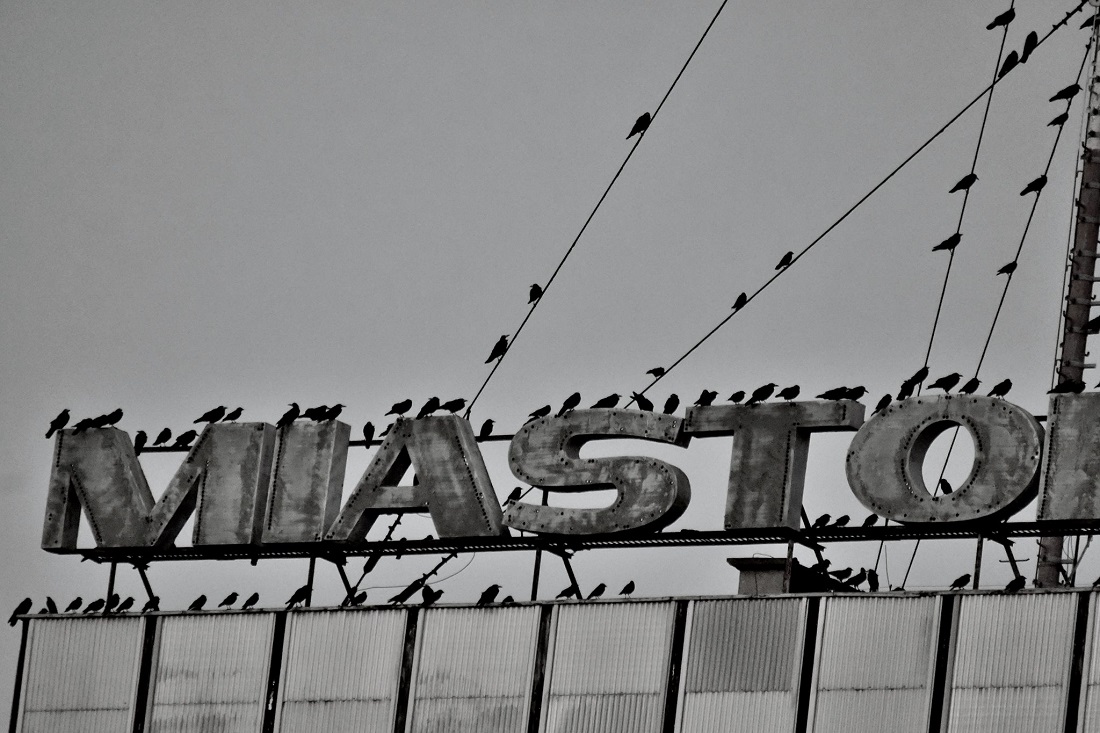 Fot. materiały organizatorów - grafika artykułu