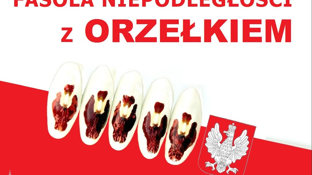 Fot. materiały organizatorów