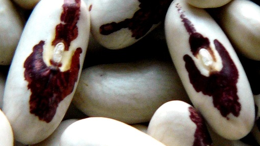 Fasola "z orzełkiem", fot. potrawyregionalne.pl