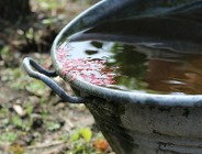 Obywatelski projekt uchwały